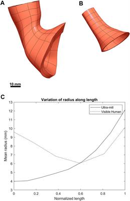 Reconstruction of the human lower esophageal sphincter based on ultra-mill imaging for biomechanical analysis